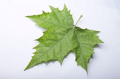 《猎杀：对决》恶魔之月来袭！本体同捆包4折！